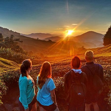 C1 Backpackers Hostel Cameron Highlands Esterno foto